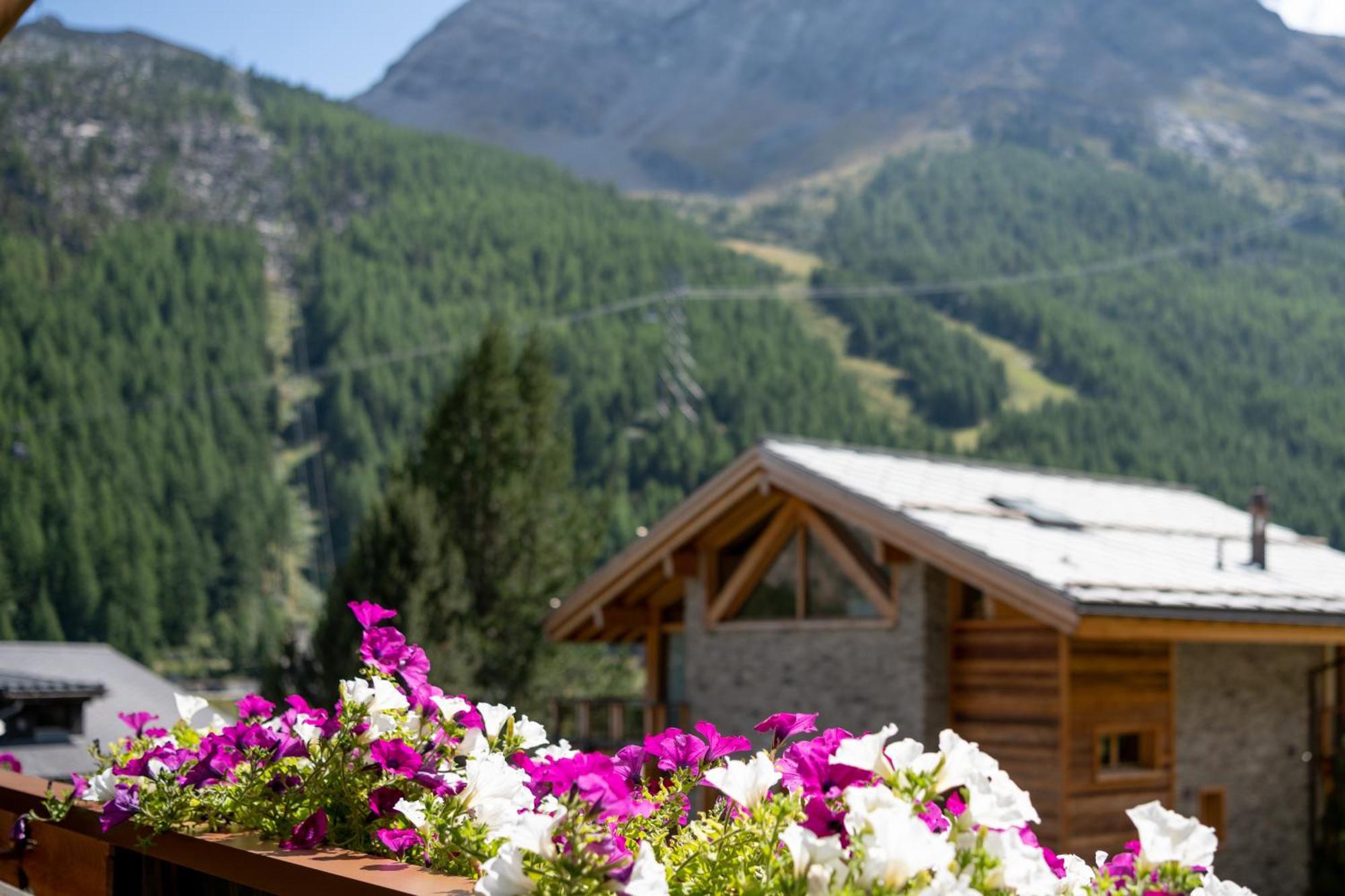 Apartmán Haus Avalanche Saas Fee Pokoj fotografie